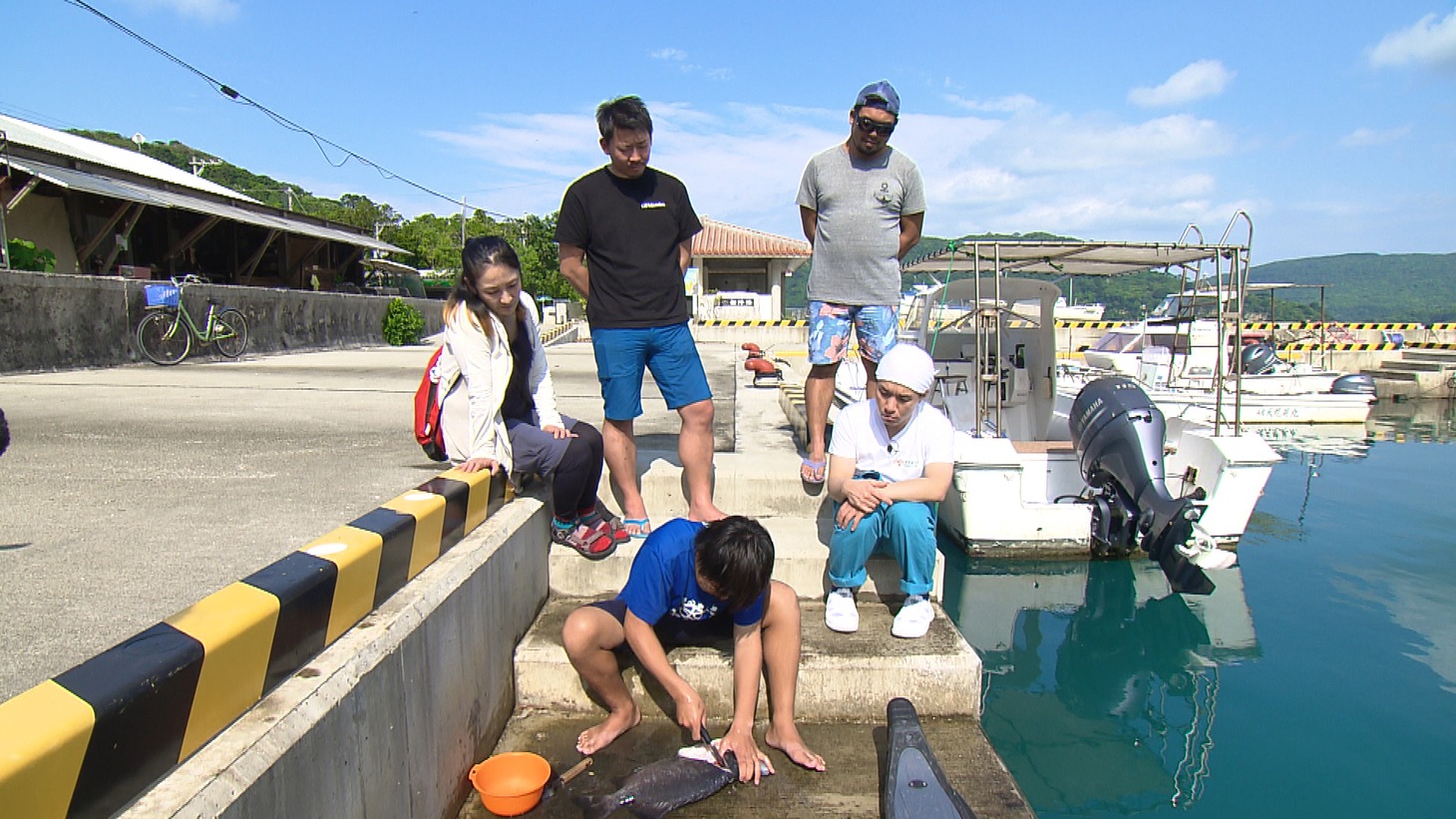 「ますおか引越センター」より。(c)読売テレビ