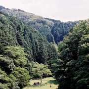 金属バットが星の声を担当、映画「おばけ」ポレポレ東中野で公開決定