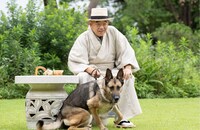 笑福亭鶴瓶が主演を務める「アメリカに負けなかった男～バカヤロー総理 吉田茂～」より。