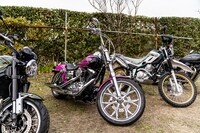 「おぎやはぎのハピキャン ～キャンプはじめてみました～」より。(c)メ～テレ