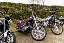 「おぎやはぎのハピキャン ～キャンプはじめてみました～」より。(c)メ～テレ