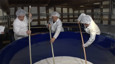 日本酒の仕込みを手伝うサンドウィッチマンと坂上忍(右)。(c)フジテレビ