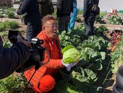 野菜を収穫するサンドウィッチマン伊達。(c)テレビ東京