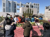 お台場で野菜を育てる挑戦者たち。(c)テレビ東京