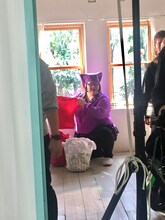 “黒子の妖精”に扮したメイプル超合金・安藤。