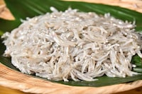 氷魚 (c)日本テレビ