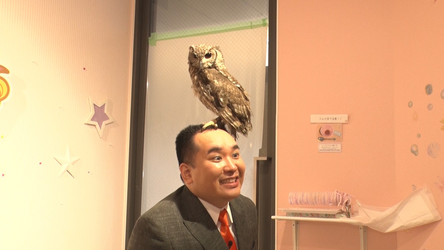 フクロウを角刈り頭に乗せるミルクボーイ内海。(c)ABCテレビ