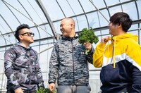 「満天☆青空レストラン」のワンシーン。(c)日本テレビ