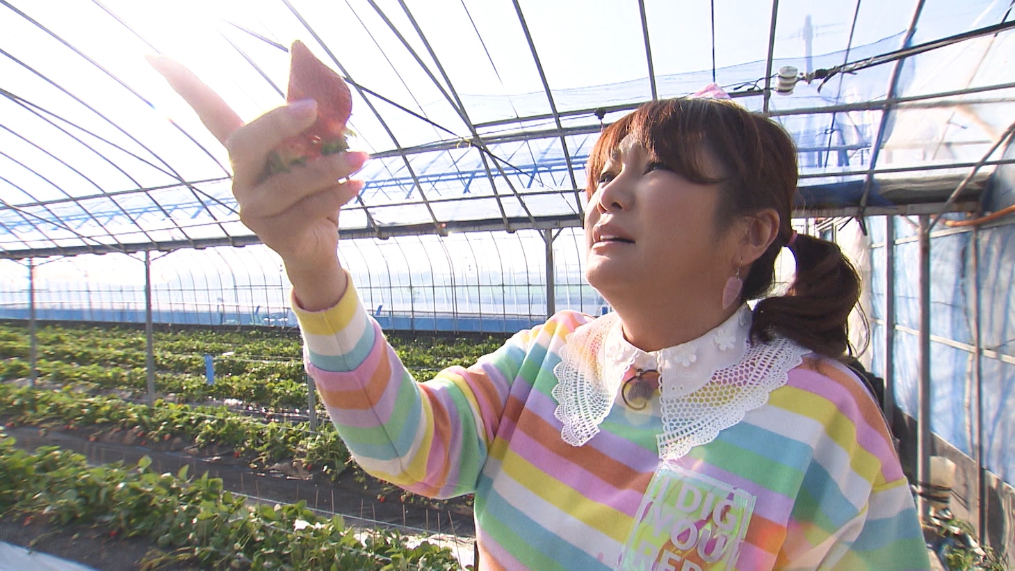 はるな愛 (c)ABCテレビ