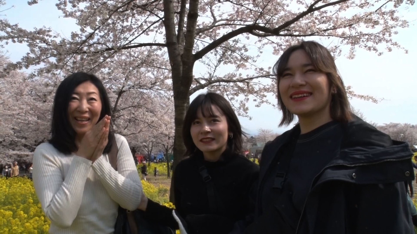 「家、ついて行ってイイですか？」4月8日放送回のワンシーン。(c)テレビ東京