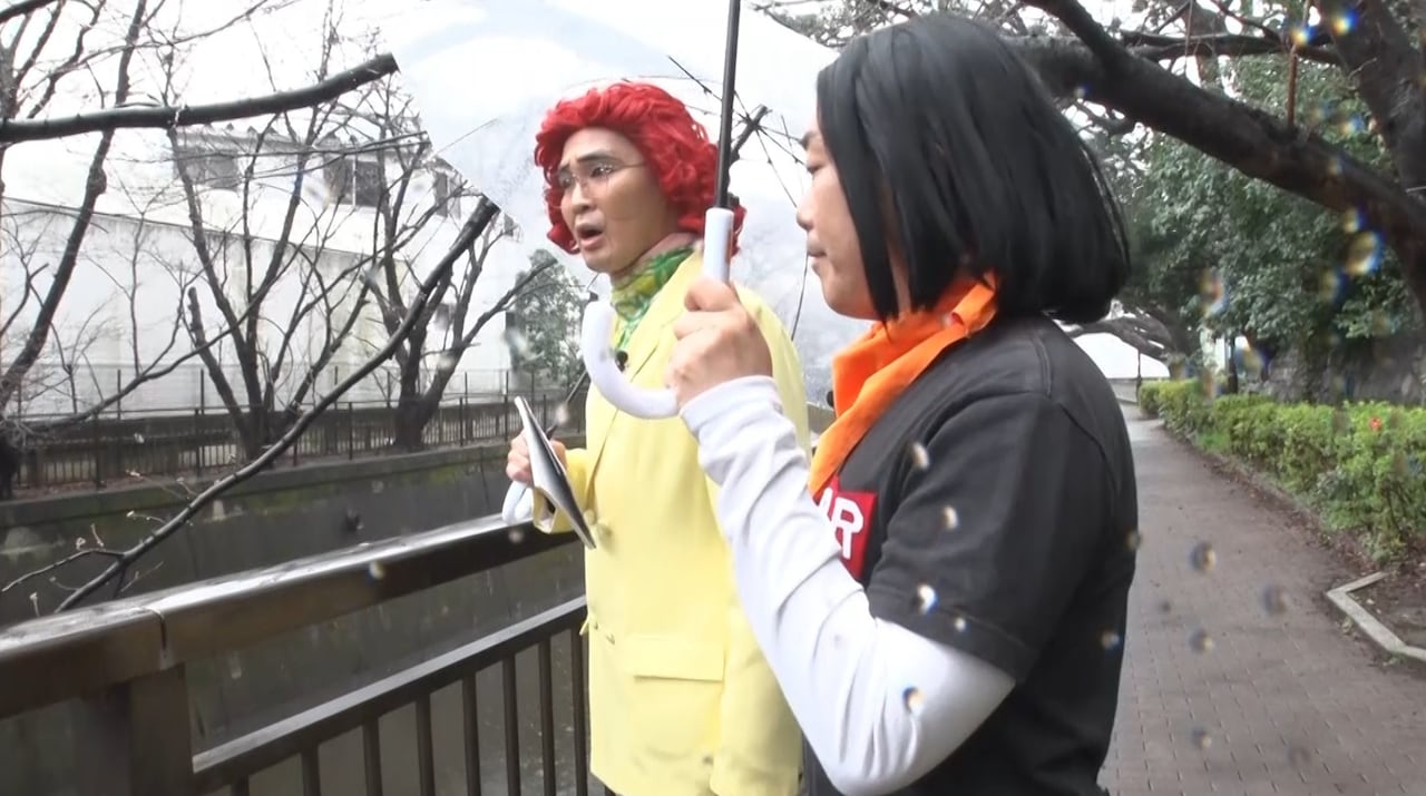 DB芸人、令和最初に咲く桜を見つけたい