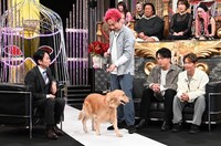 「有吉反省会」のワンシーン。(c)日本テレビ