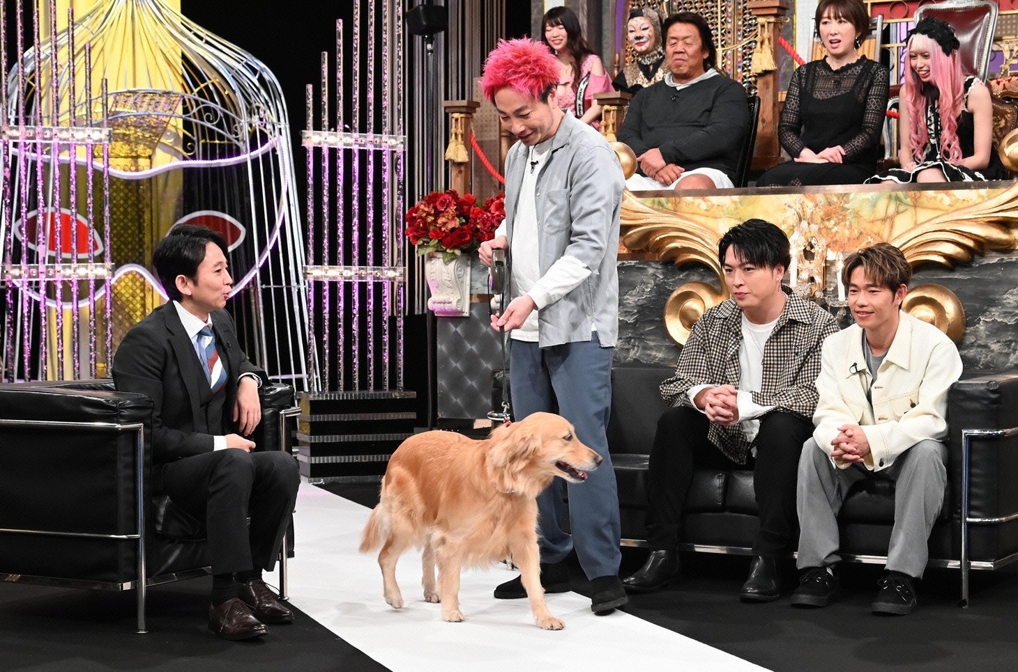 「有吉反省会」のワンシーン。(c)日本テレビ