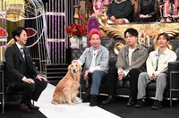 「有吉反省会」のワンシーン。(c)日本テレビ