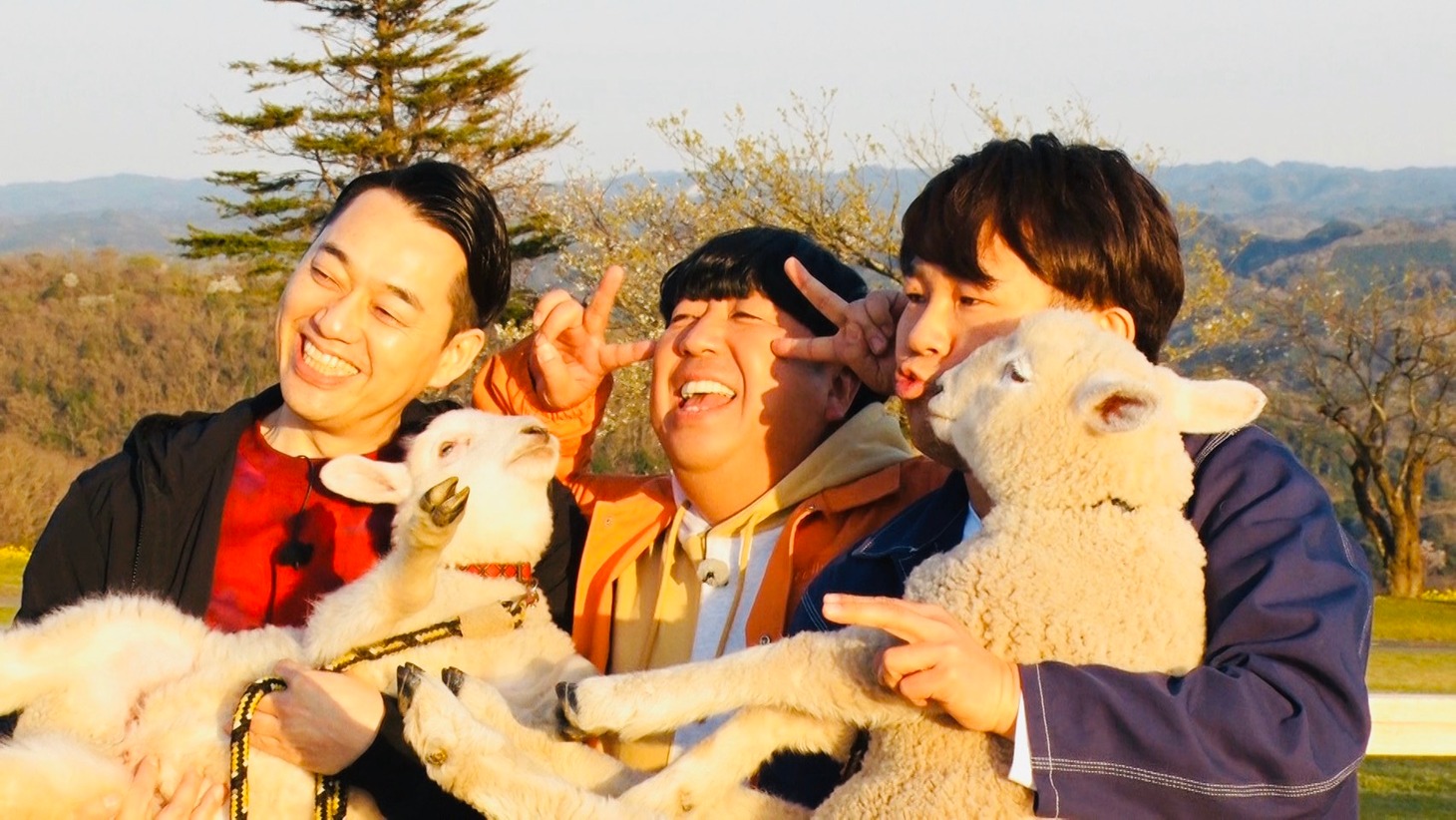牧場で子羊と戯れるバナナマンとFUJIWARA藤本（右）。(c)テレビ朝日