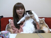 中川翔子と愛猫。(c)フジテレビ