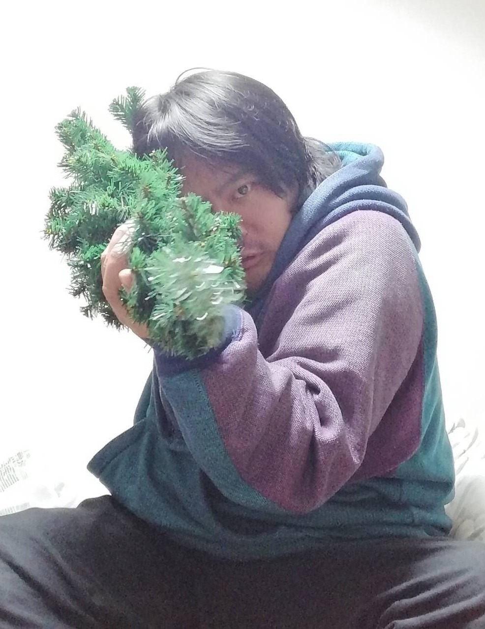 大陸