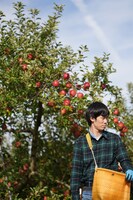 「実りゆく」より。