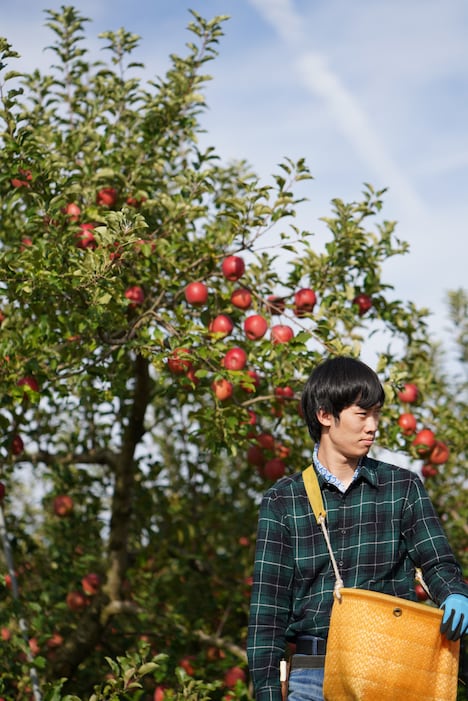 「実りゆく」より。