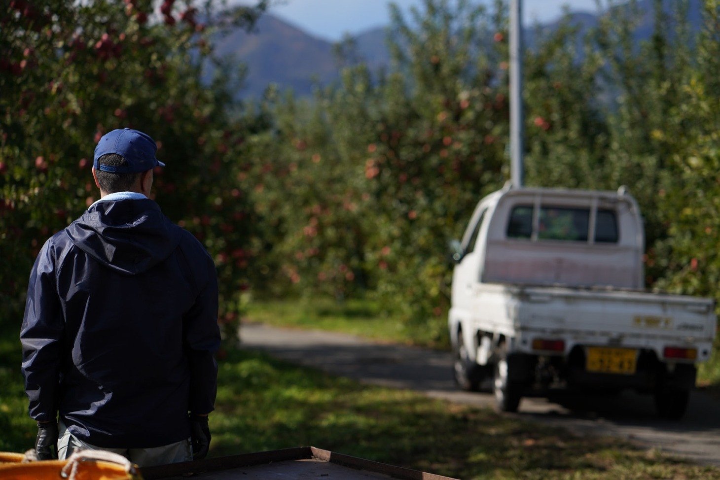 「実りゆく」より。