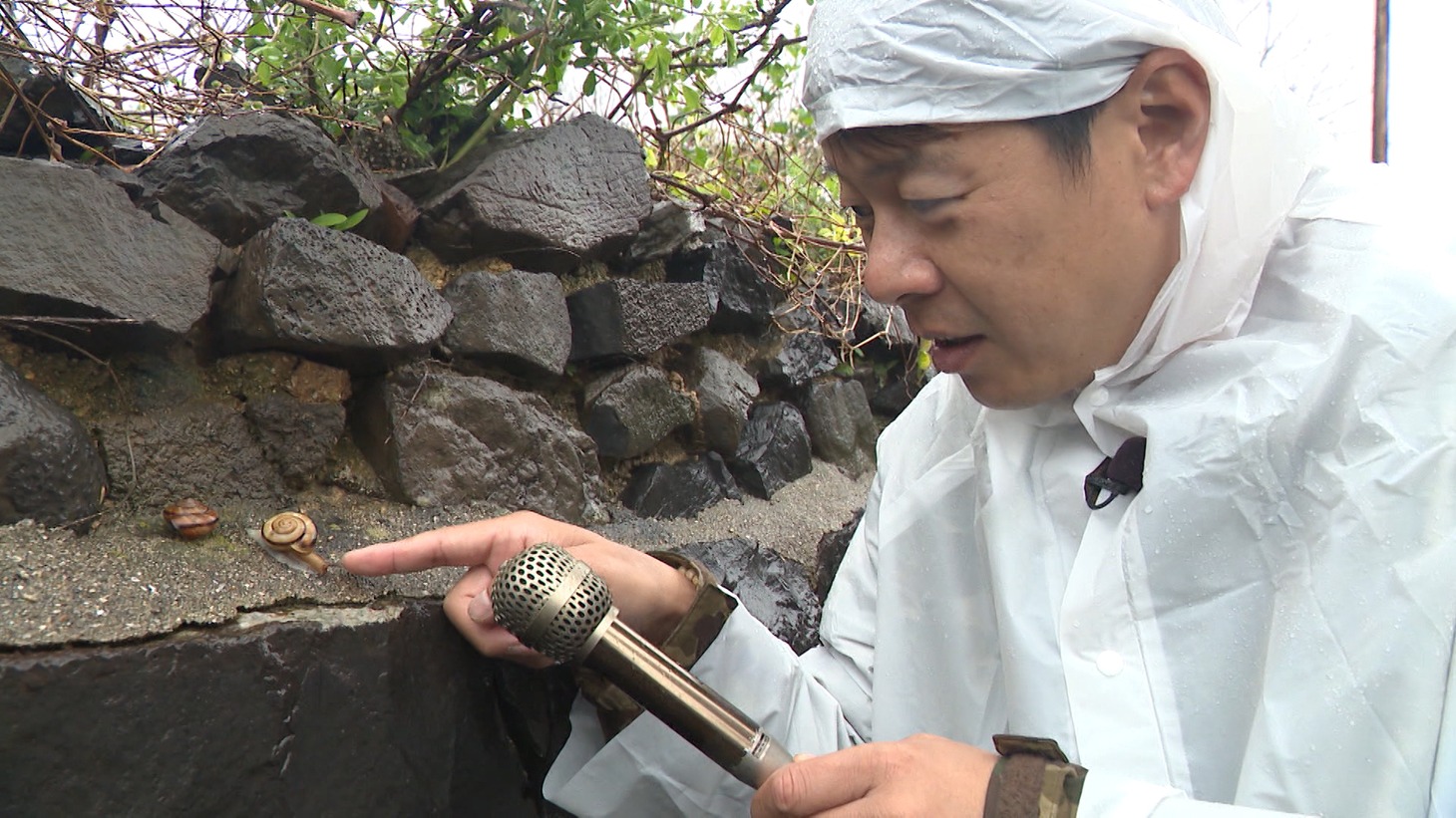 野性爆弾ロッシー (c)ABCテレビ