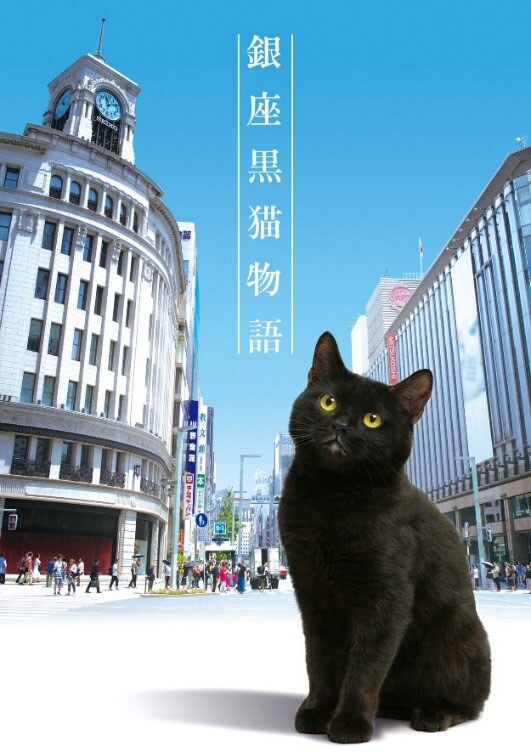「銀座⿊猫物語」メインビジュアル