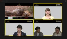 「“ナショジオ オープンキャンパス” オンライン校 ココリコ田中の『動物・環境コレ知ってた？』」の様子。