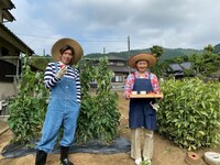 「THE突破ファイル 突破交番＆アメリカンポリスヤバすぎる敵を撃退2時間スペシャル」より。(c)日本テレビ