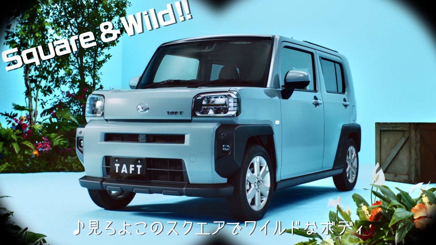 タフトのオフィシャルサイトで公開される動画より。
