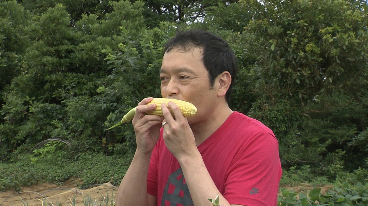 中川家・礼二 (c)日本テレビ