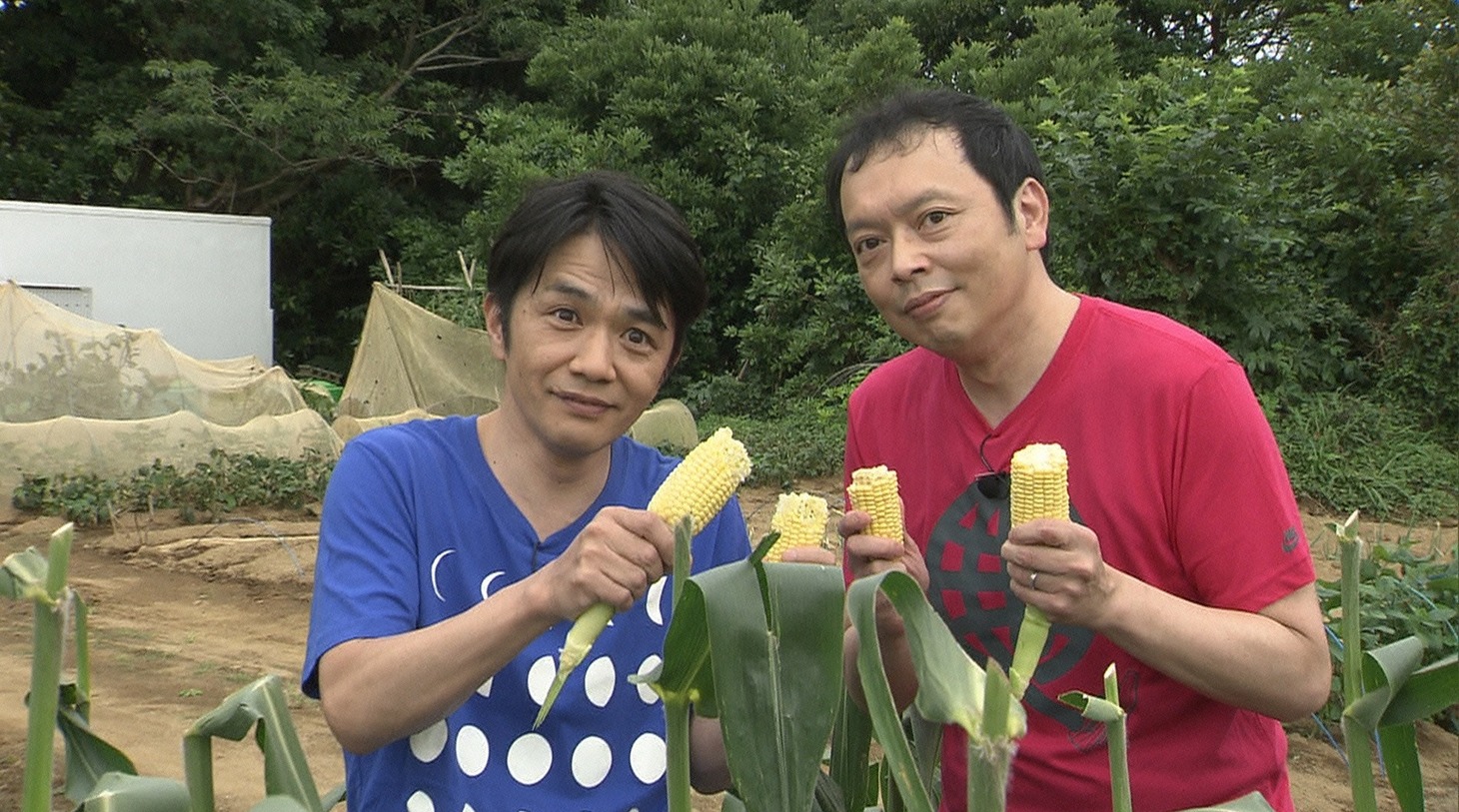 中川家 (c)日本テレビ
