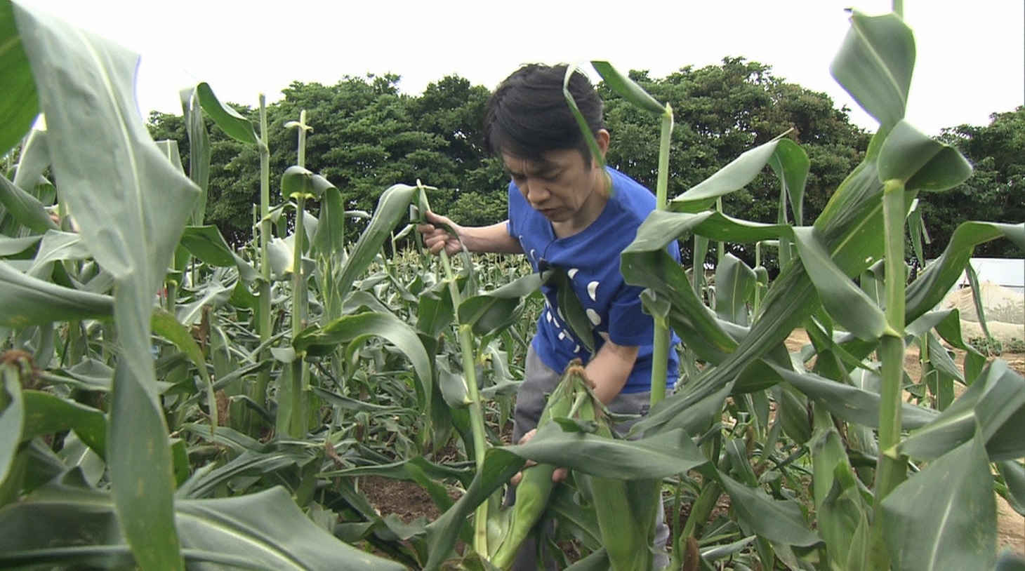 中川家・剛 (c)日本テレビ
