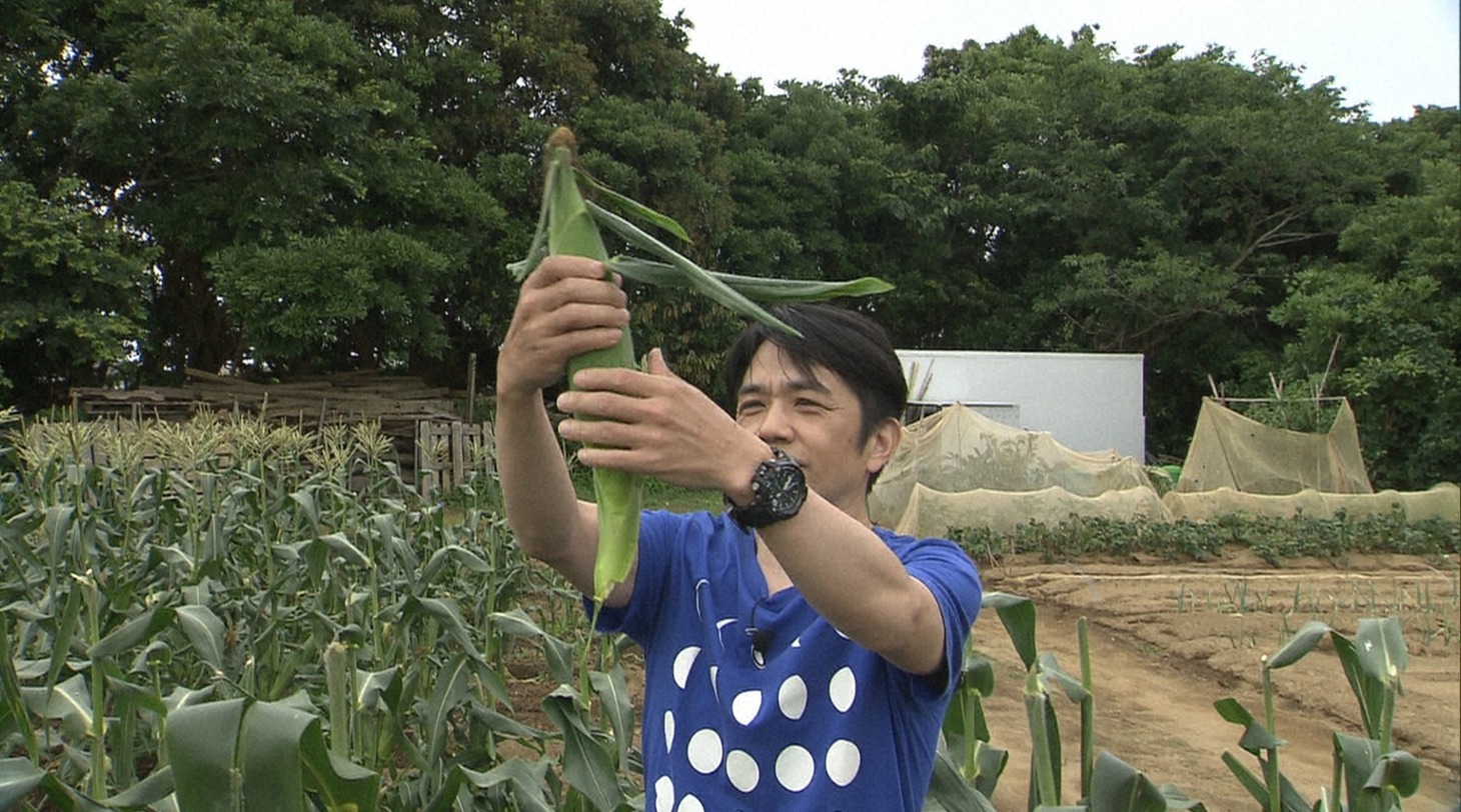 中川家・剛 (c)日本テレビ