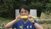 中川家・剛 (c)日本テレビ