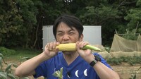 中川家・剛 (c)日本テレビ