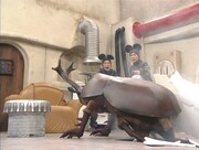 「カブトムシ」(c)TITAN / TOPICS / フジテレビ