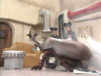 「カブトムシ」(c)TITAN / TOPICS / フジテレビ