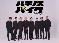 「ハチノスパイク」イメージ