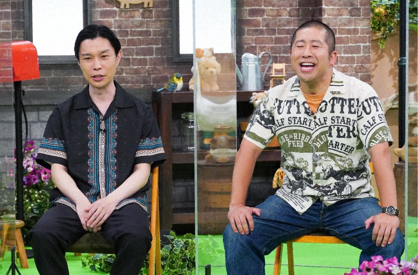 モフモフ好きのハライチ。