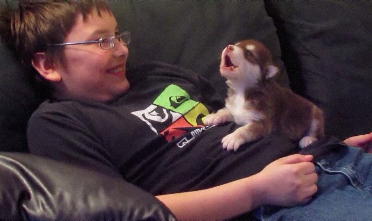 「～モフモフ好きの楽園～ どうぶつのキモチがわかる森」より。