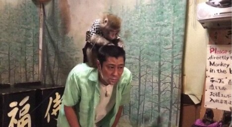 ロケVTRに登場するサルとパンサー尾形。