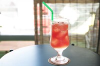 「夏人間ソルティードッグ（すいか味）」