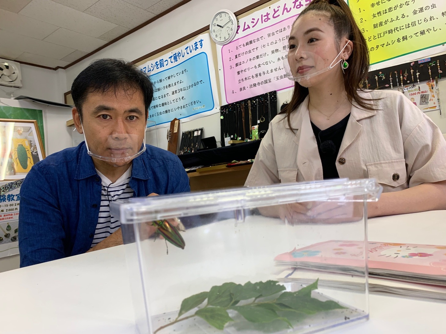 「となりのスターさん」より。(c)静岡朝日テレビ