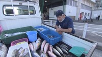 カリスマ魚ヤバイヤー (c)中京テレビ