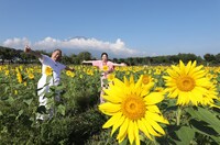 「男の挑戦 in山梨県」より。(c)日本テレビ