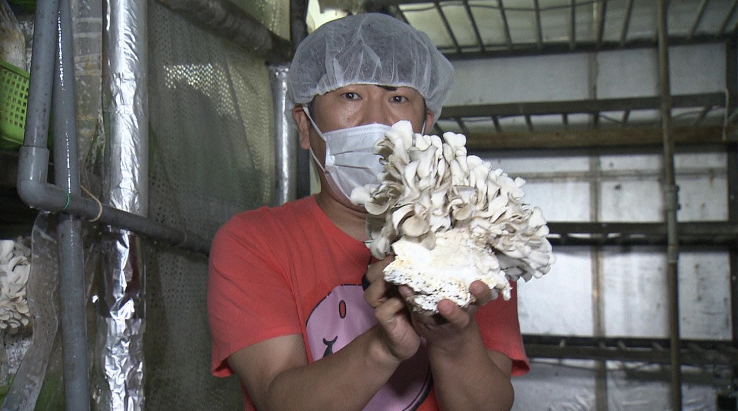 FUJIWARA藤本 (c)日本テレビ