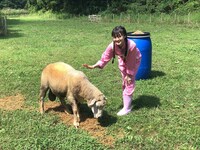 「カミナリが行く！宮城（秘）グルメドライブ3」より。(c)KHB