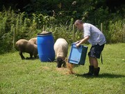 「カミナリが行く！宮城（秘）グルメドライブ3」より。(c)KHB