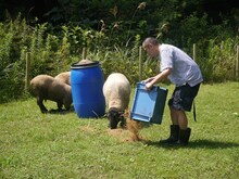 「カミナリが行く！宮城（秘）グルメドライブ3」より。(c)KHB