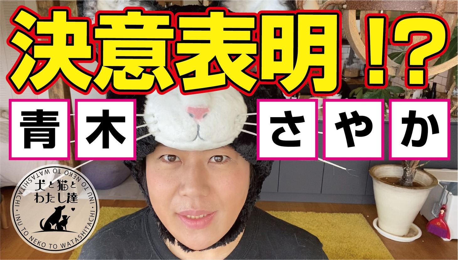 YouTubeチャンネル「犬と猫とわたし達の人生の楽しみ方」より。
